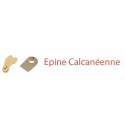 Epine calcanéenne